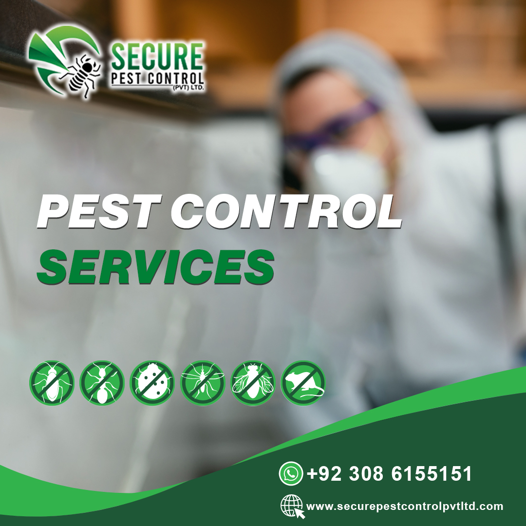 Top Pest Control Companies in Karachi