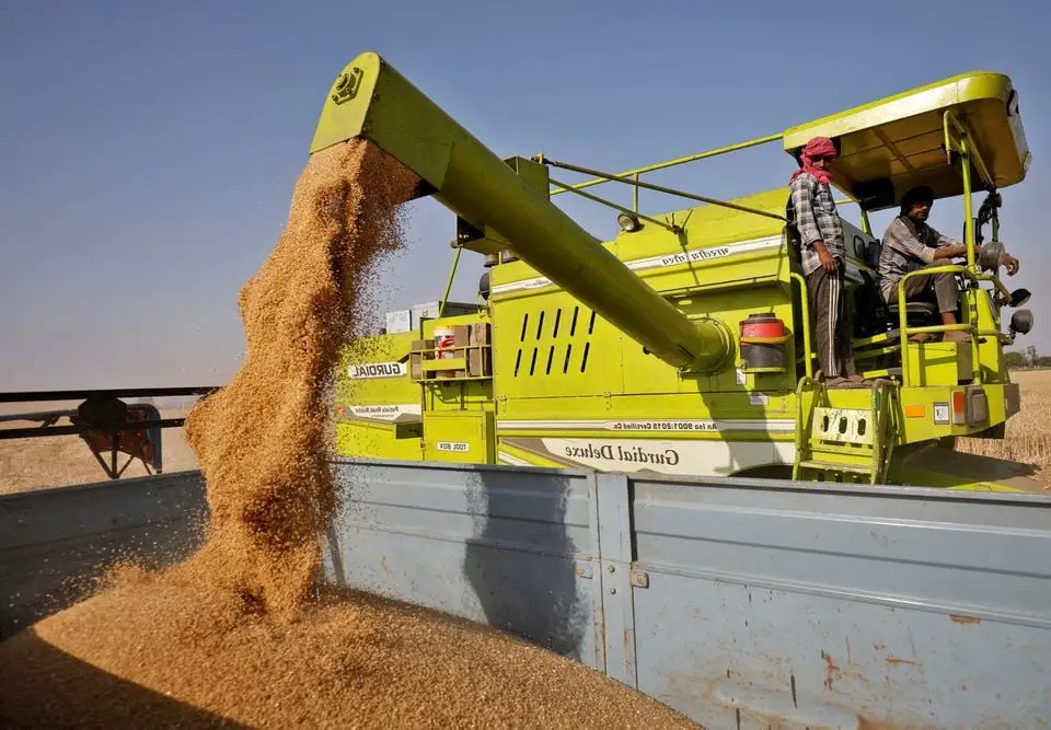 Fostering Climate Resilience in Wheat Production: Insights from India and Pakistan