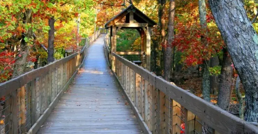 Discovering Nature’s Majesty: Cheaha State Park Adventures