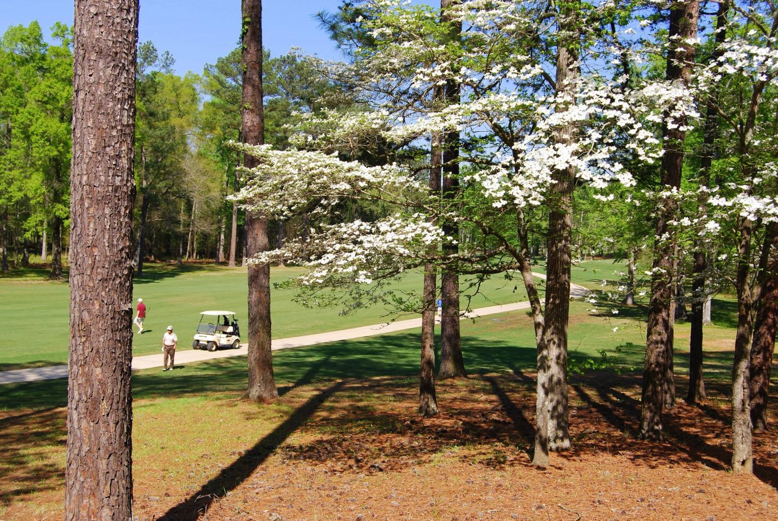 Explore Nature’s Playground: Oak Mountain State Park