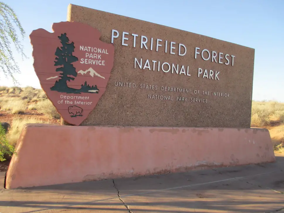 Exploring Petrified Forest: Ancient Wood and Painted Desert