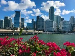 Miami Magic: History Culture and Coastal Charms